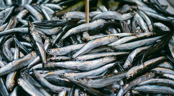 Explorez les Avantages de l'Hydrothérapie pour le Soulagement des Problèmes Osseux